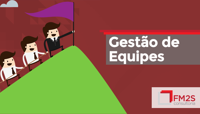 E-Book: Gestão de Equipes